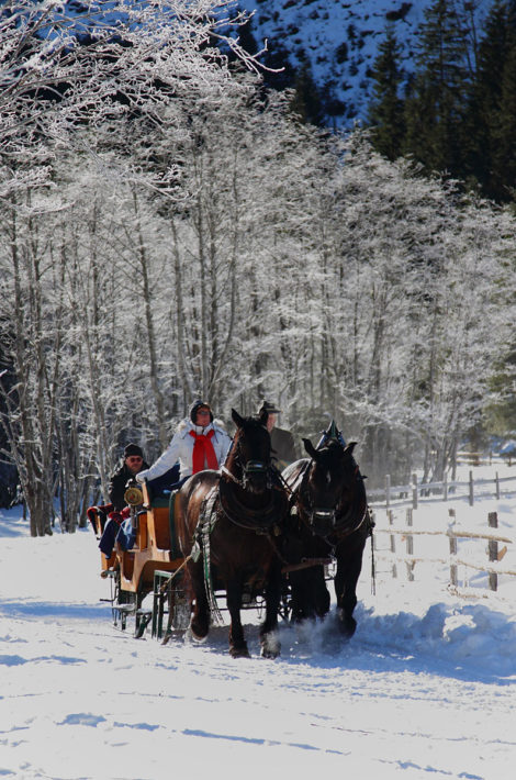 Pfandlinghof Grossarl, Schlittenfahrt Winterurlaub, Skiurlaub Salzburger Land